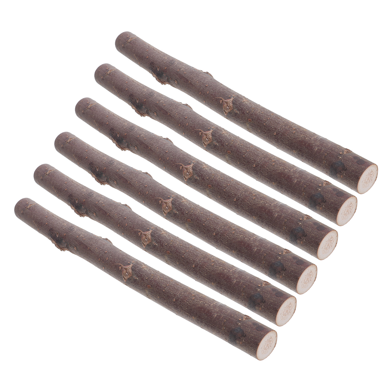 6Pcs Birch Wood Twigs Natural  - Centerpiece Stick ulasan dan harga